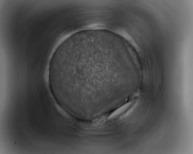 X0000096731421200802191539