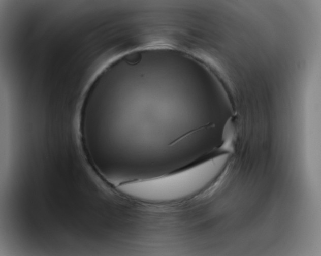 X0000096731422200802191539