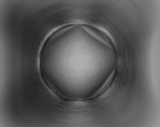 X0000096731424200802191539