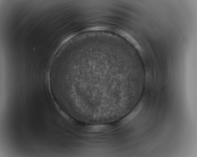 X0000096731425200802191539