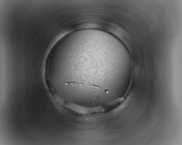X0000096731426200802191539