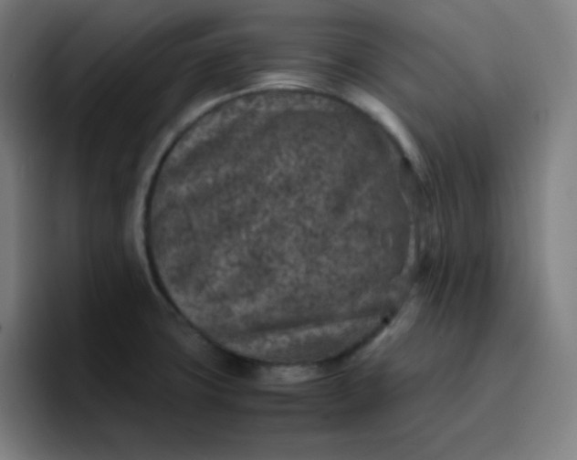 X0000096731427200802191539