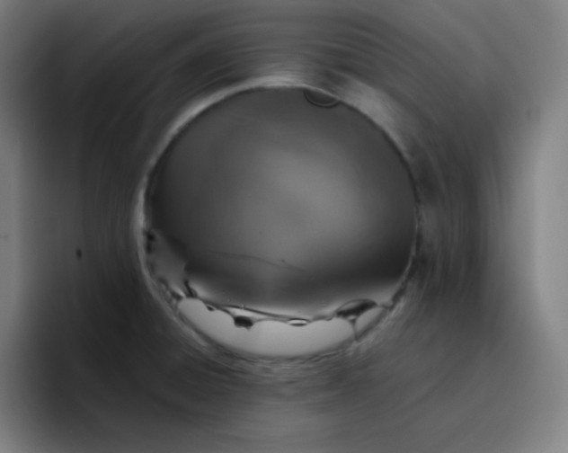 X0000096731428200802191539