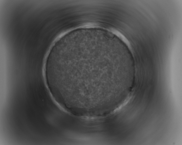 X0000096731429200802191539