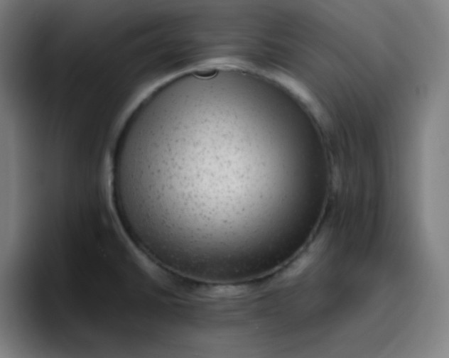 X0000096731430200802191539