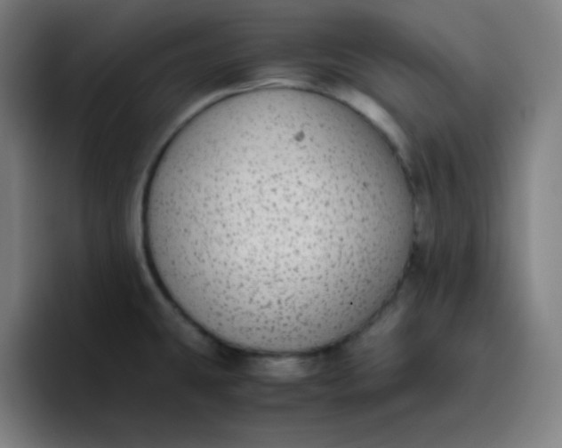 X0000096731431200802191539