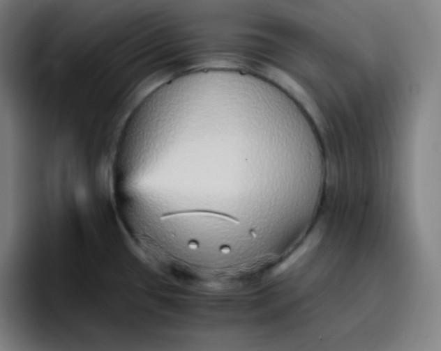 X0000096731433200802191539