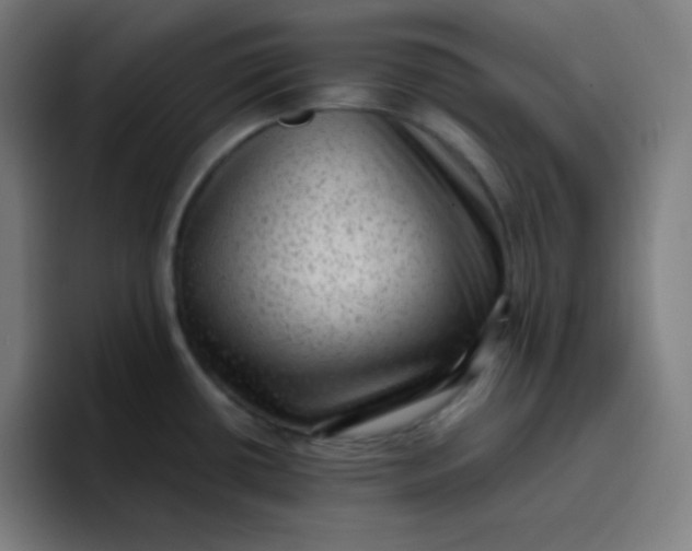 X0000096731434200802191539