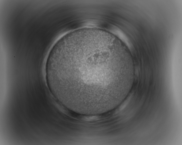 X0000096731435200802191539