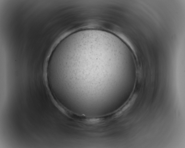 X0000096731437200802191539