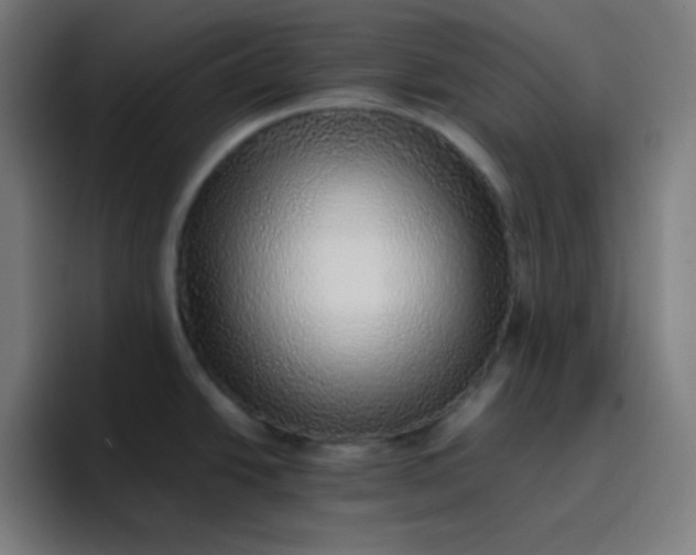 X0000096731438200802191539