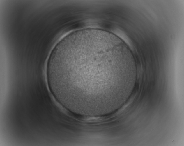 X0000096731439200802191539