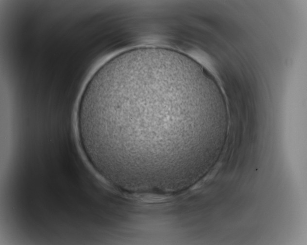 X0000096731440200802191539