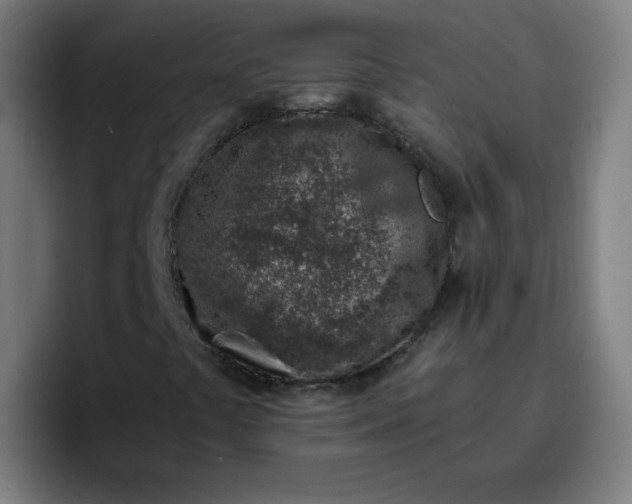 X0000096731441200802191539