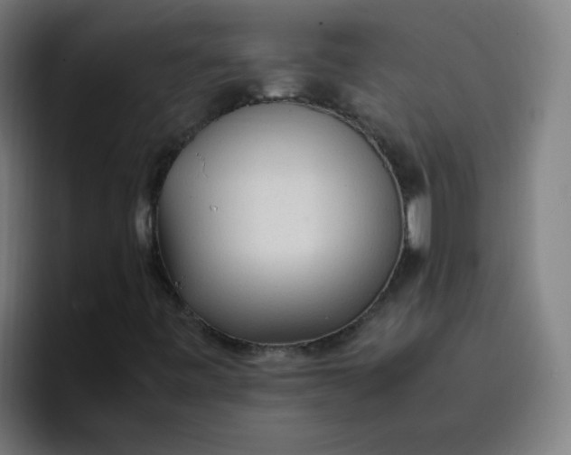 X0000096731443200802191539
