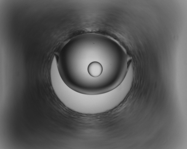 X0000096731444200802191539