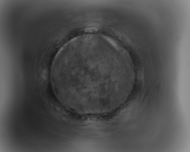 X0000096731445200802191539