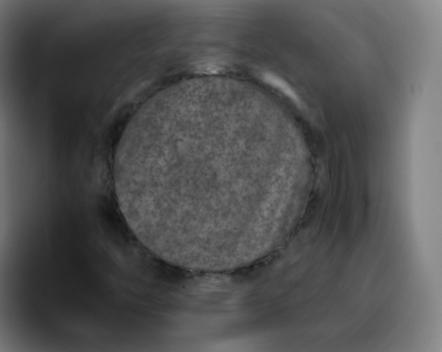 X0000096731446200802191539