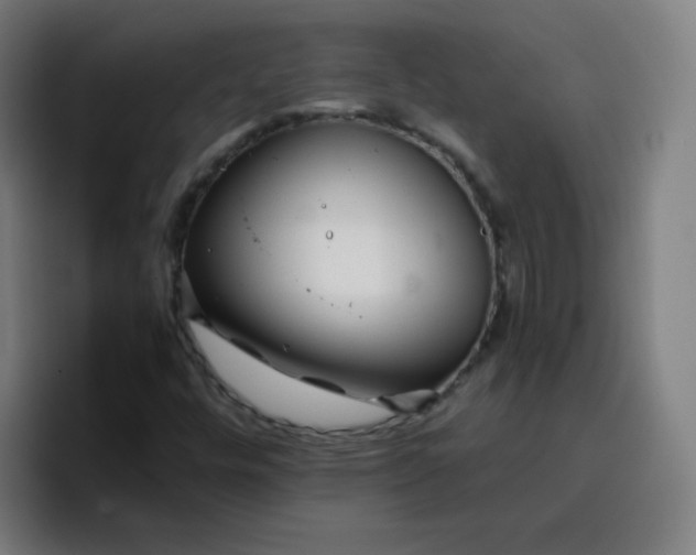 X0000096731448200802191539