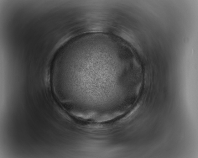 X0000096731450200802191539