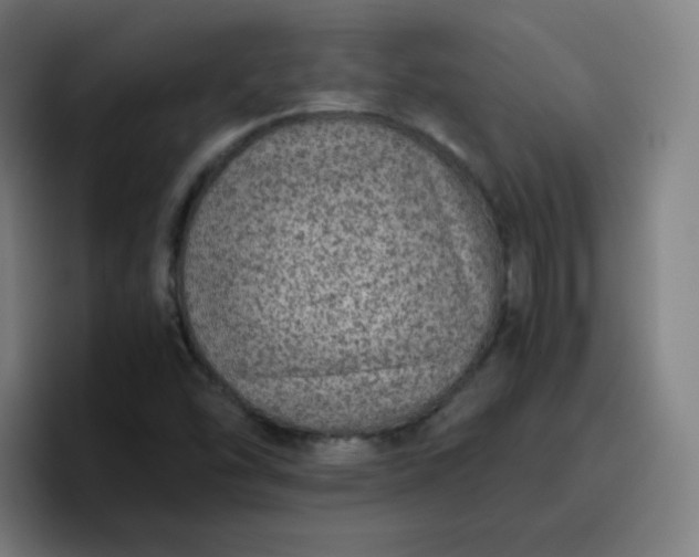 X0000096731454200802191539