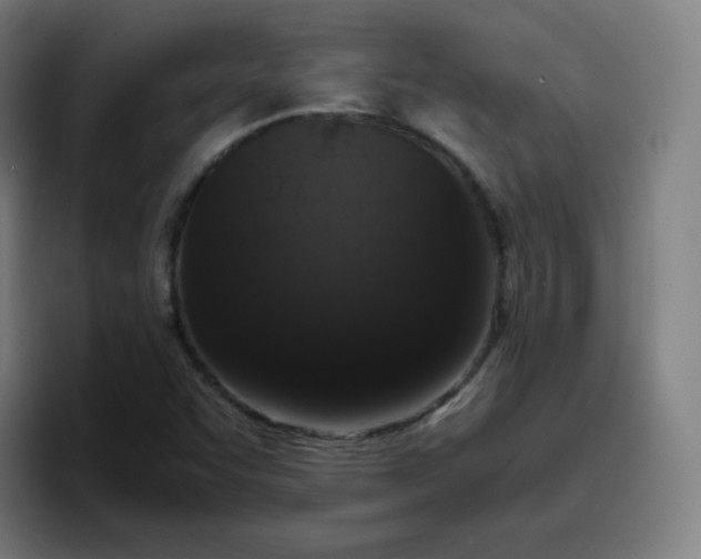 X0000096731455200802191539