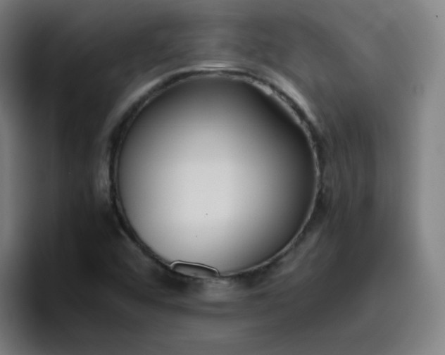 X0000096731456200802191539