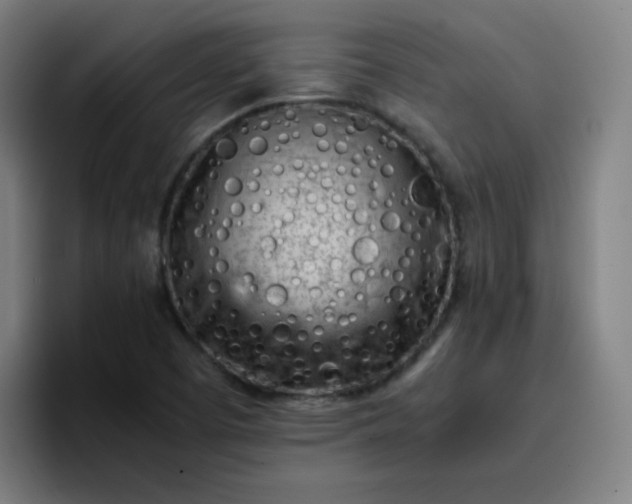 X0000096731457200802191539