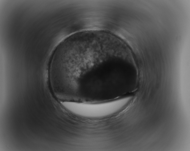 X0000096731459200802191539