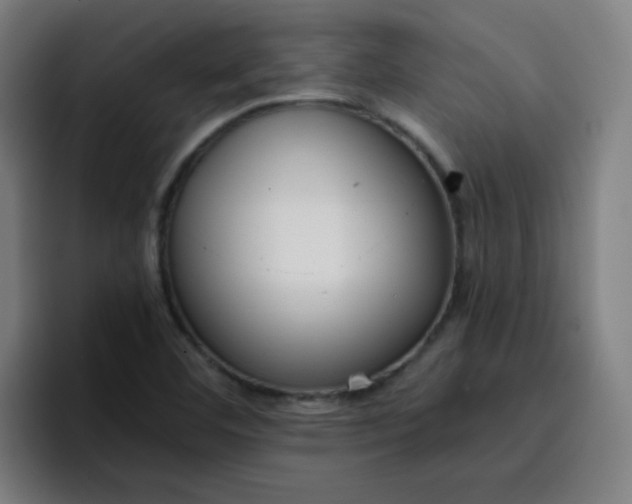 X0000096731460200802191539