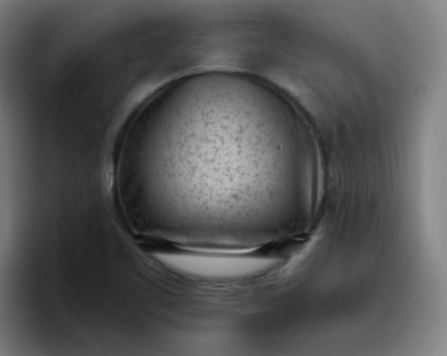 X0000096731461200802191539