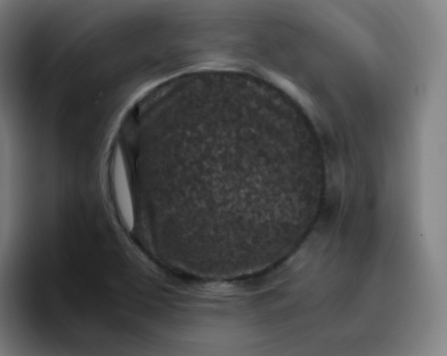 X0000096731463200802191538