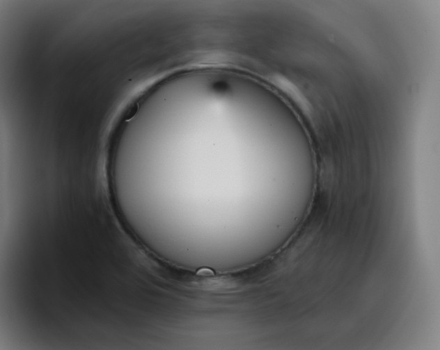 X0000096731464200802191538