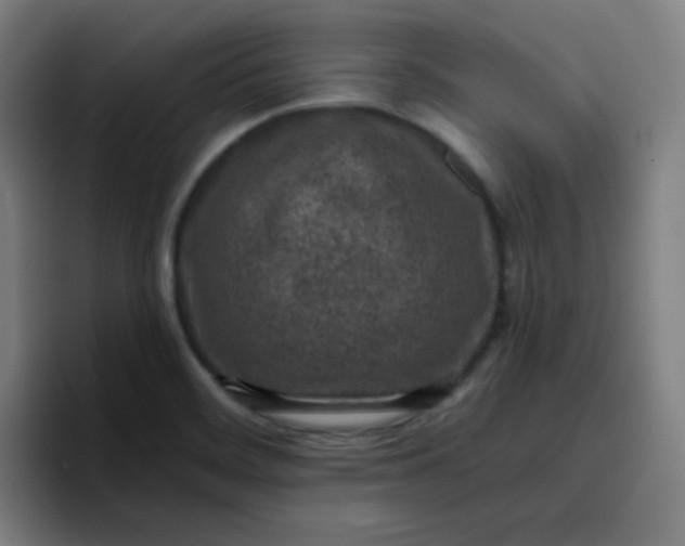 X0000096731468200802191538