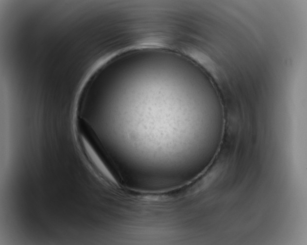 X0000096731469200802191538