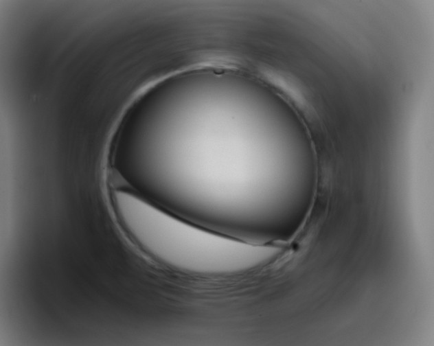 X0000096731471200802191538
