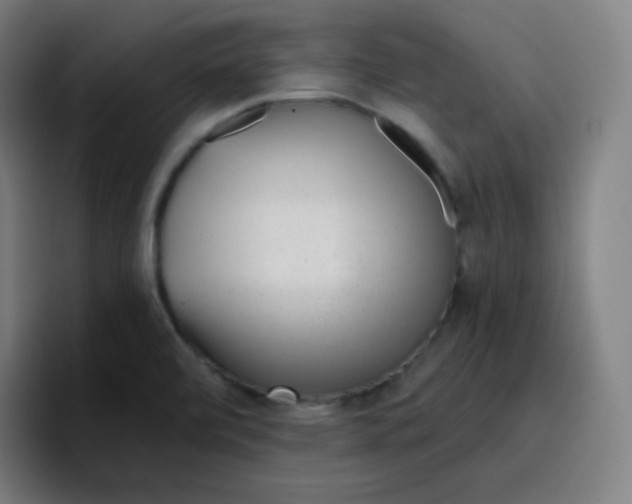 X0000096731472200802191538