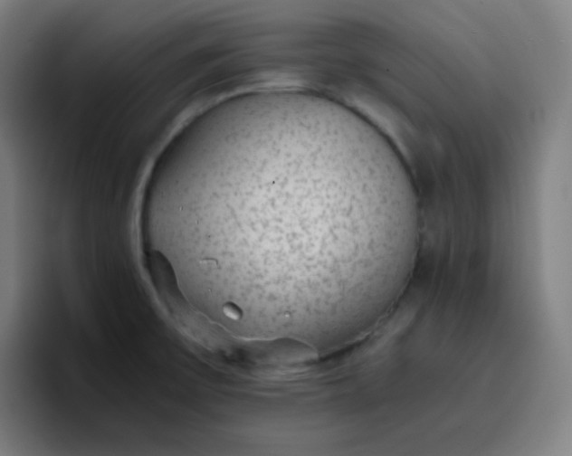 X0000096731475200802191538