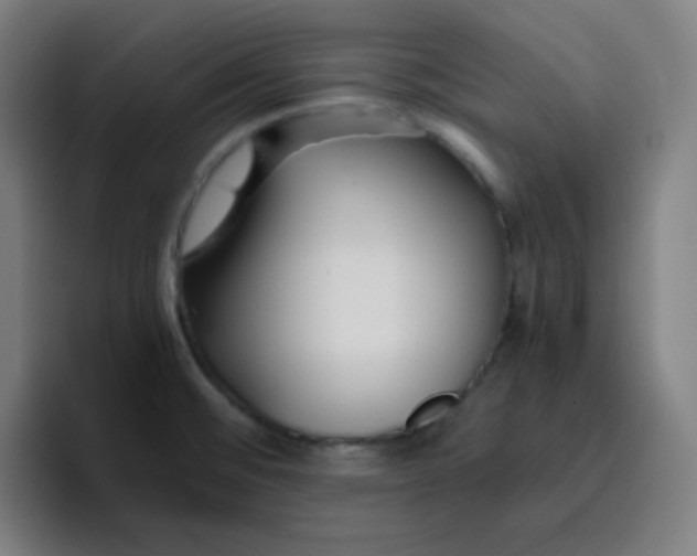 X0000096731476200802191538