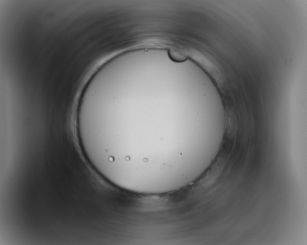 X0000096731478200802191538