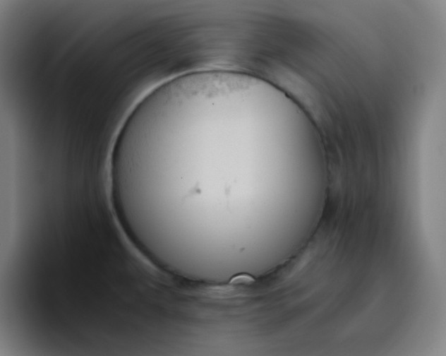 X0000096731479200802191538