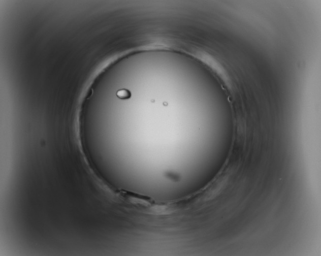 X0000096731480200802191538