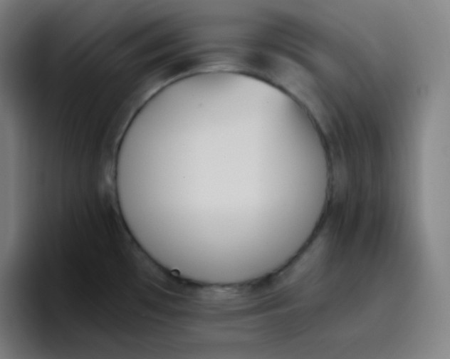 X0000096731481200802191538