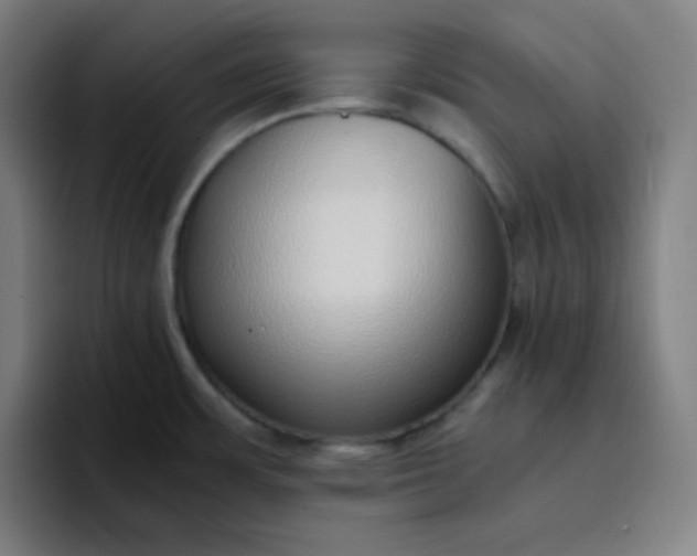 X0000096731483200802191538