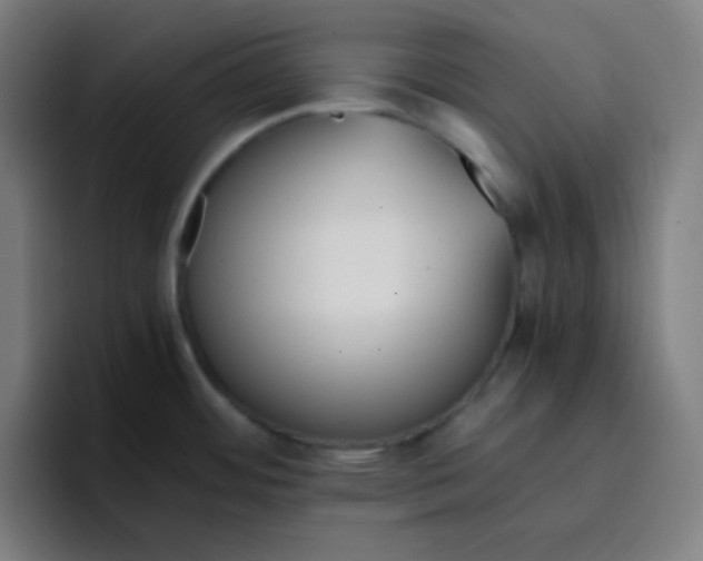 X0000096731484200802191538