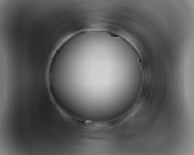 X0000096731485200802191538