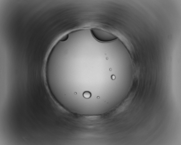X0000096731486200802191538