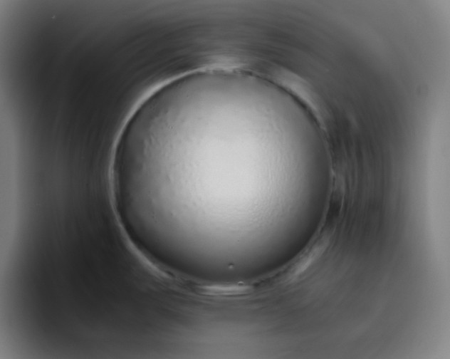 X0000096731487200802191538