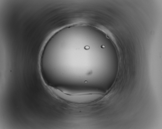 X0000096731488200802191538