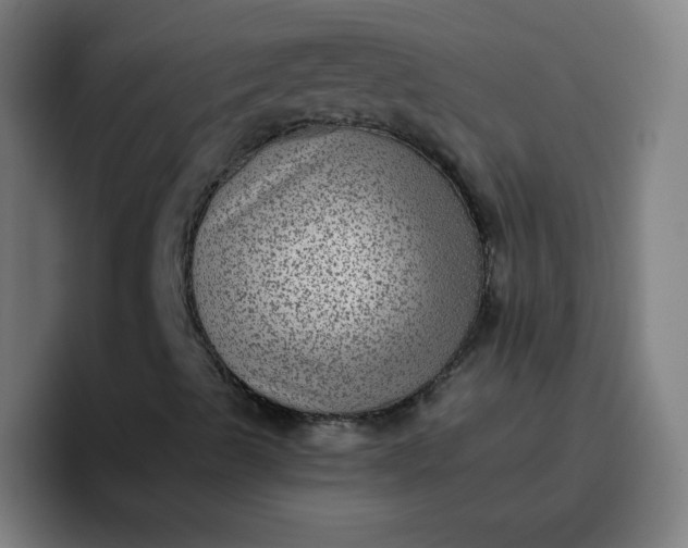 X0000096731489200802191538